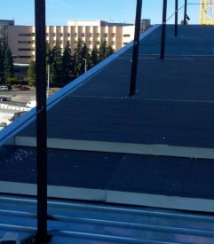 Husky Stadium Renovation