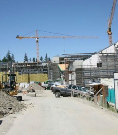 Timber Ridge at Talus