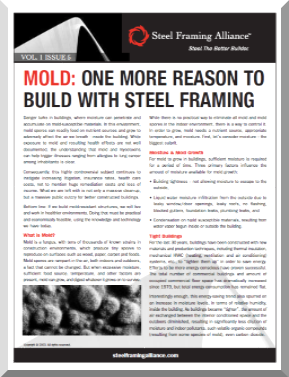mold-and-termites-steel-framing.png